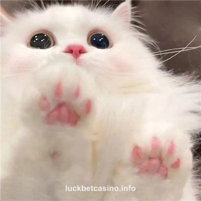 Avatar do jogador Bruno L.